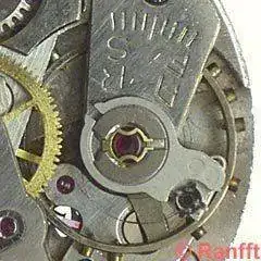 Felsa_465-2.webp