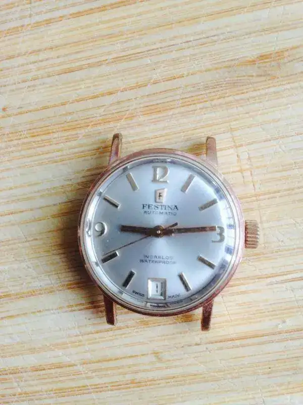 Festina 1.webp