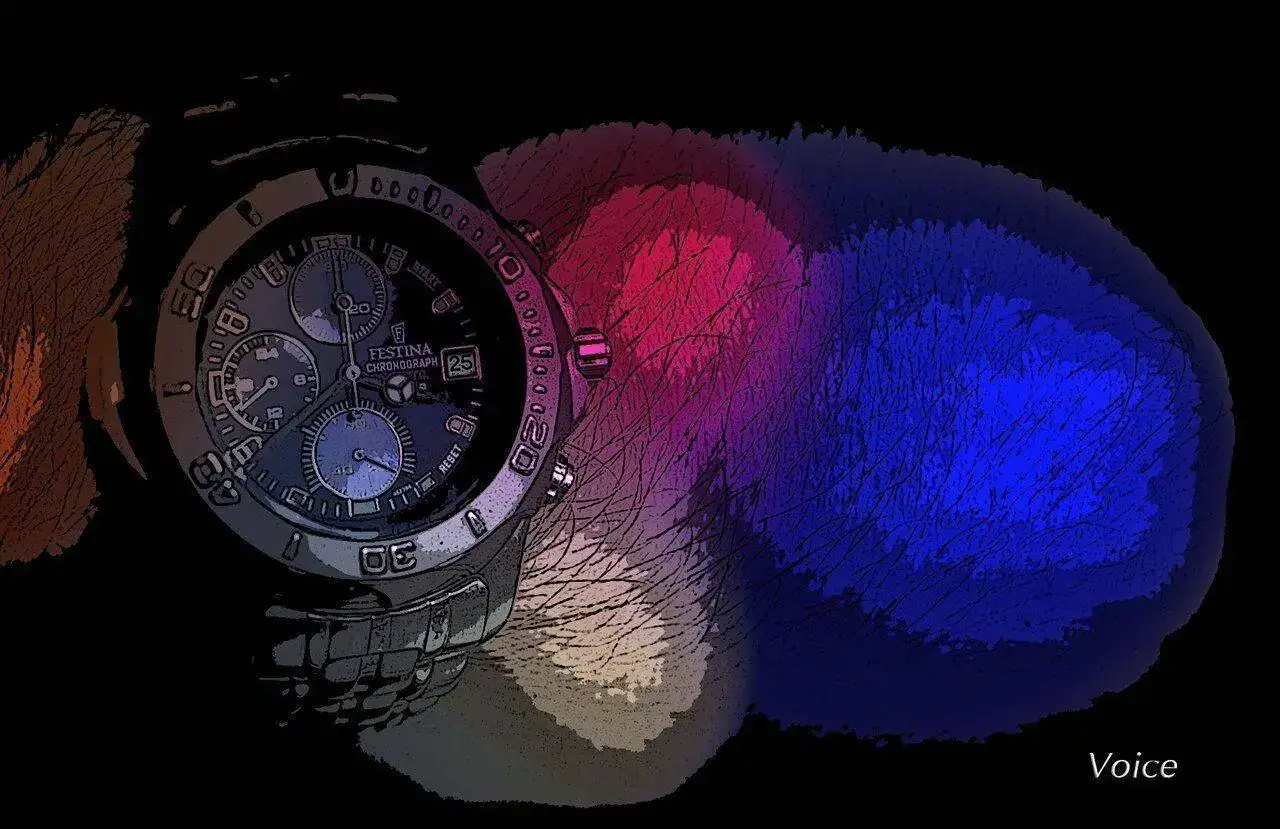 Festina Crono Efecto Dibujo.webp