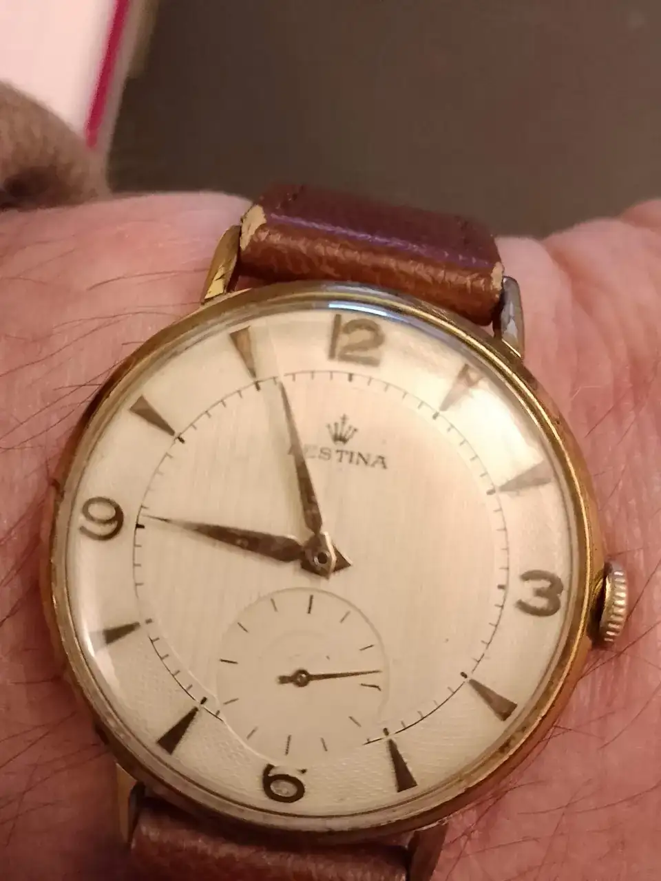 Festina II.webp