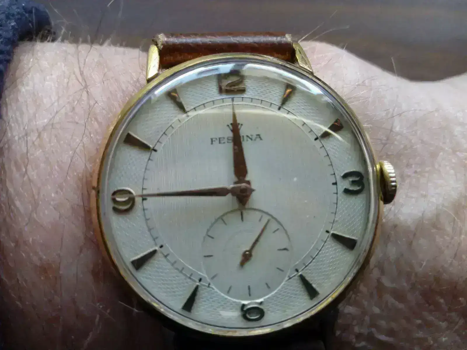 festina ii.webp
