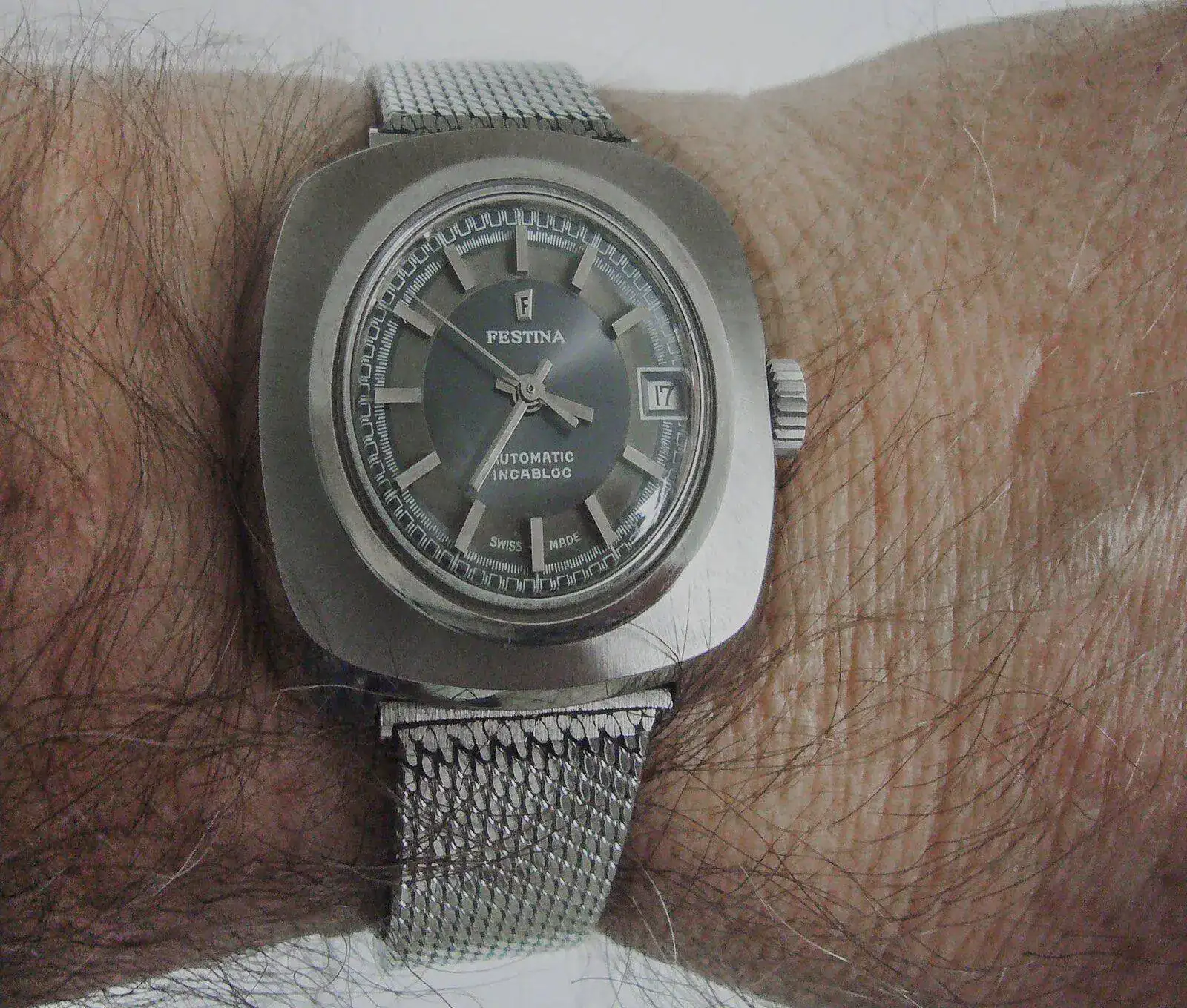 Festina R.webp
