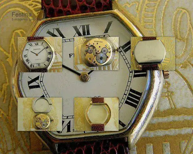 Festina.webp