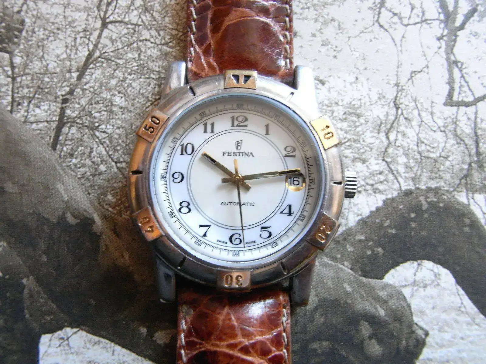 FESTINA.webp