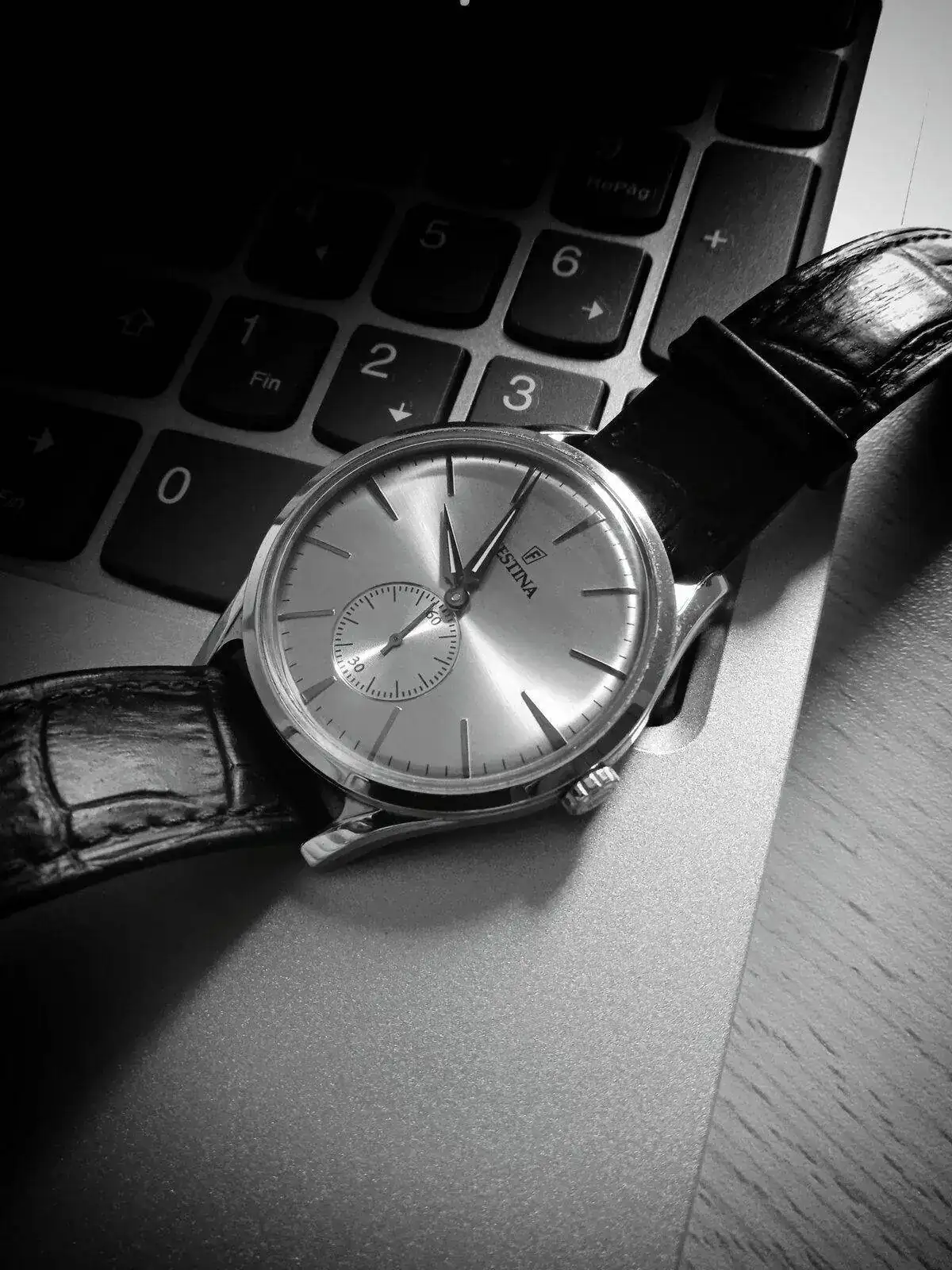 Festina.webp