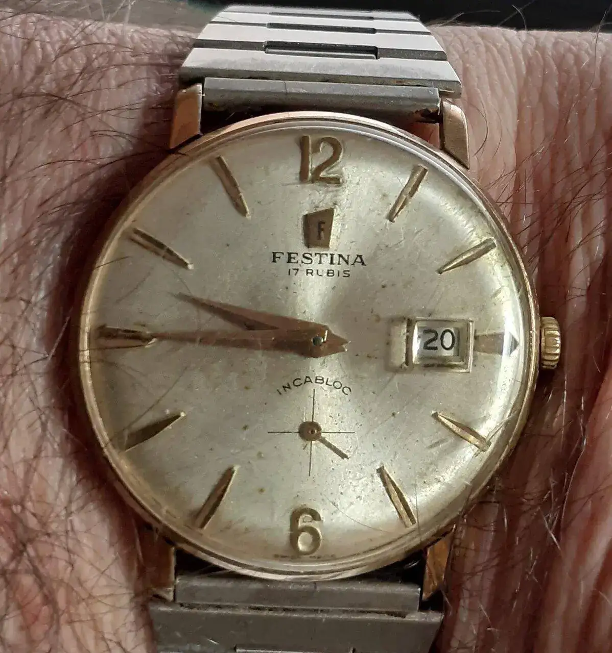 Festina.webp