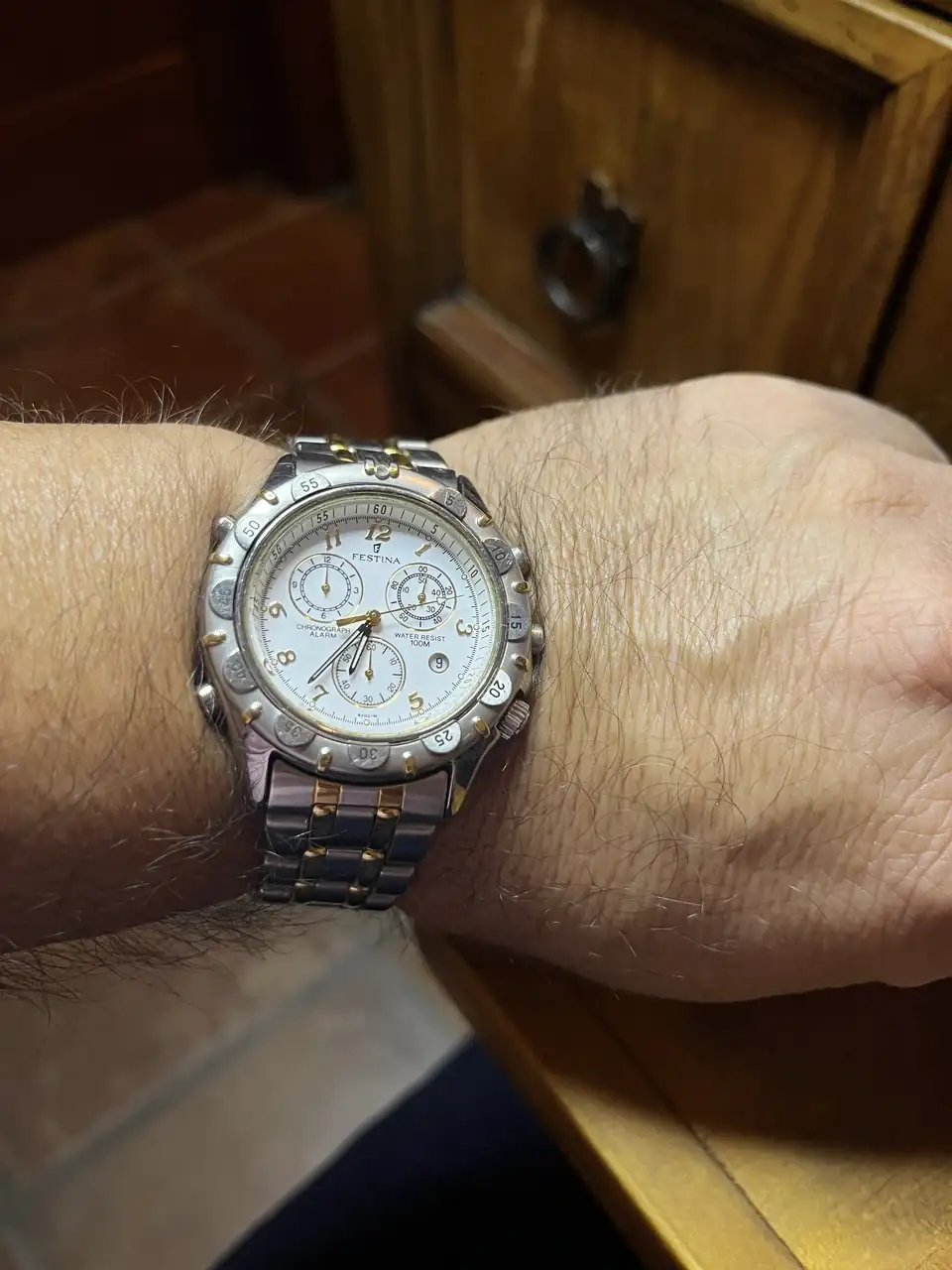 Festina.webp