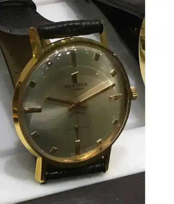 Festina.webp