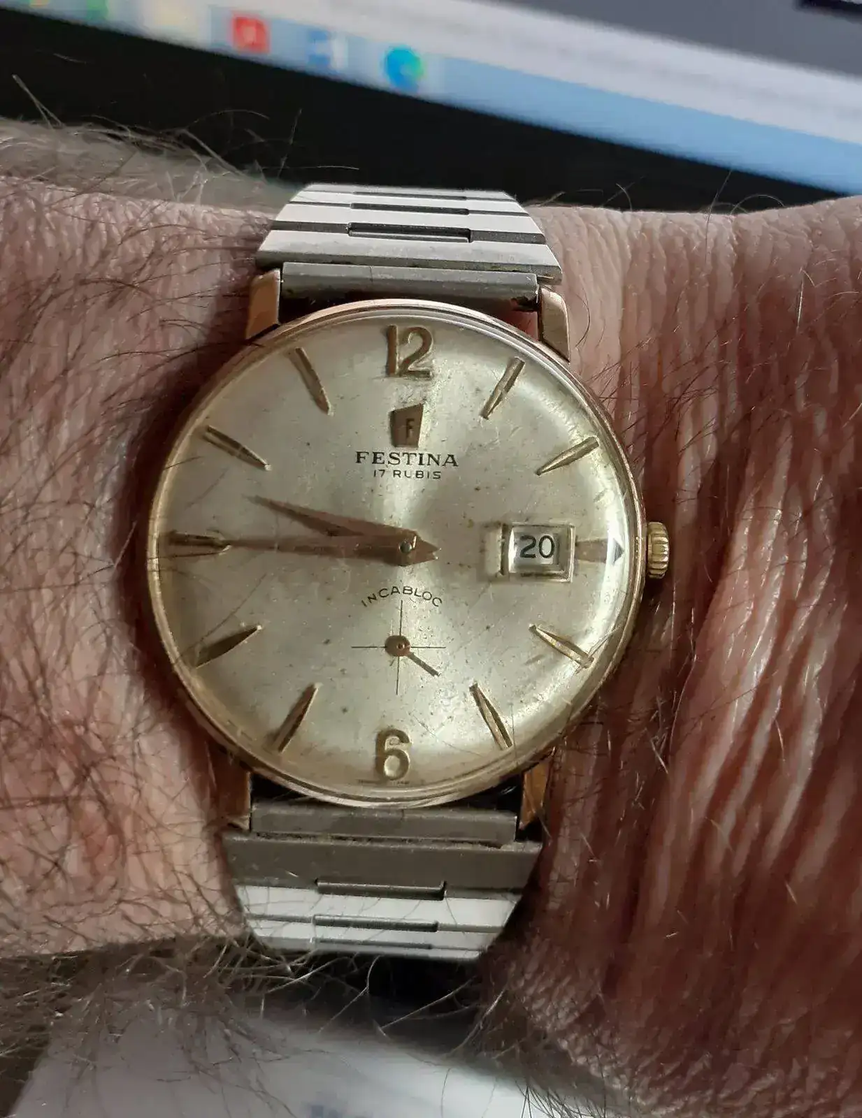 Festina.webp
