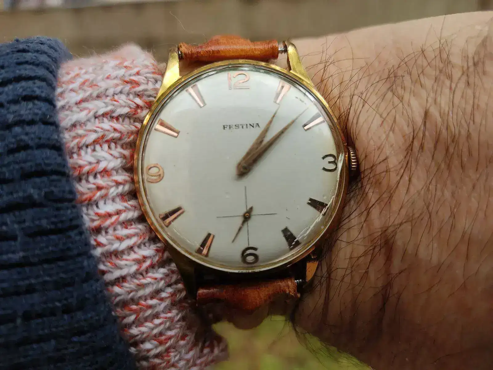 Festina01.webp