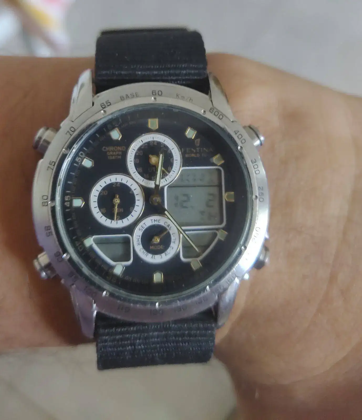 festina2.webp