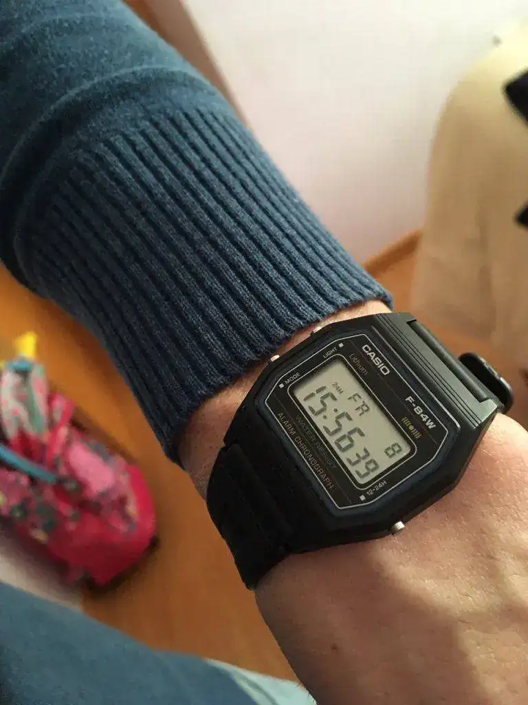 f84 casio