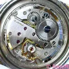 FHF_186-1.webp