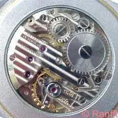 FHF_186.webp