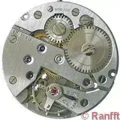 FHF_26.webp