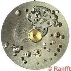 FHF_261-1.webp