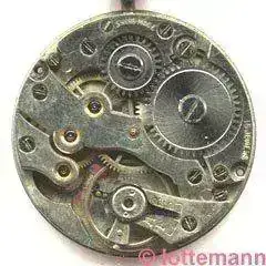 FHF_30.webp