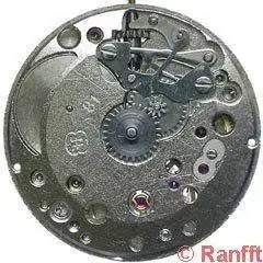 FHF_81-1.webp