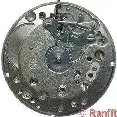 FHF_81-1.webp