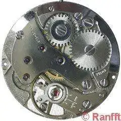 FHF_81.webp