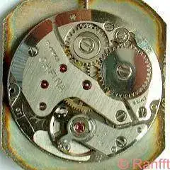 FHF_82.webp