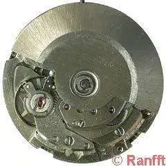 FHF_905.webp
