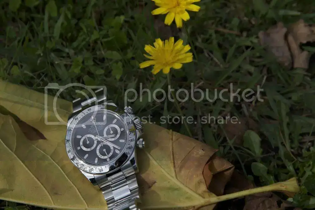 file-118.webp
