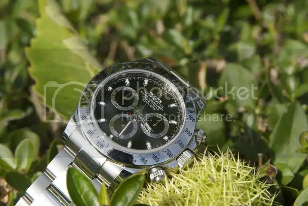 file-119.webp