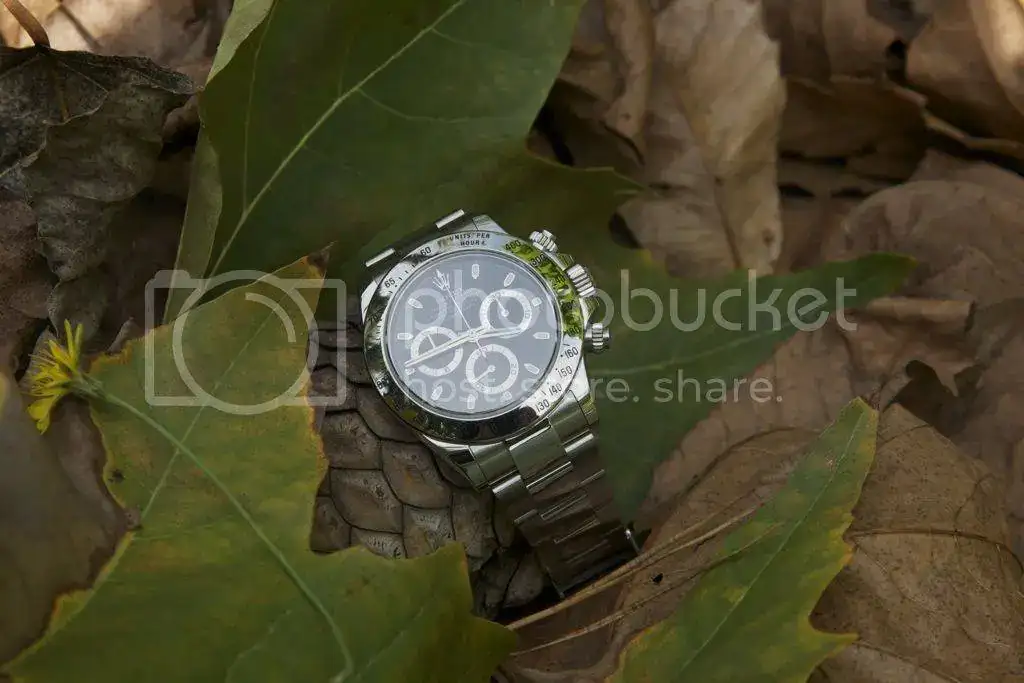file-122.webp
