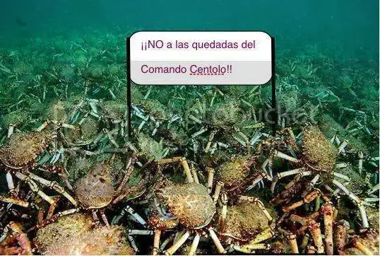 file-1330.webp