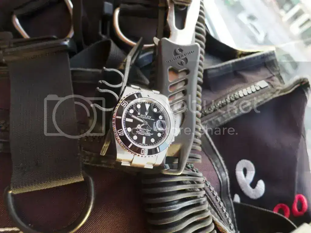 file_zps0bd9644a.webp