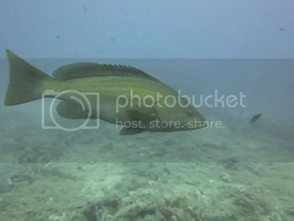 file_zps3e5cbee1.webp