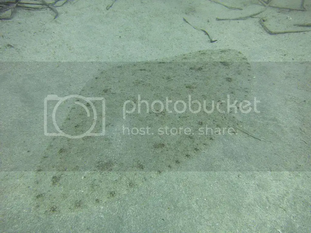 file_zps5c122d97.webp
