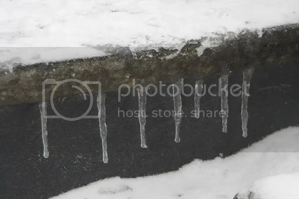 file_zps7500d121.webp