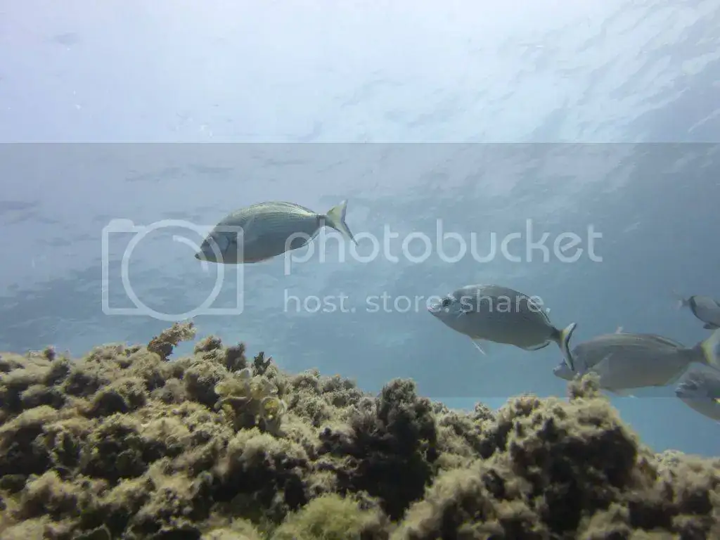 file_zpsa22d151f.webp