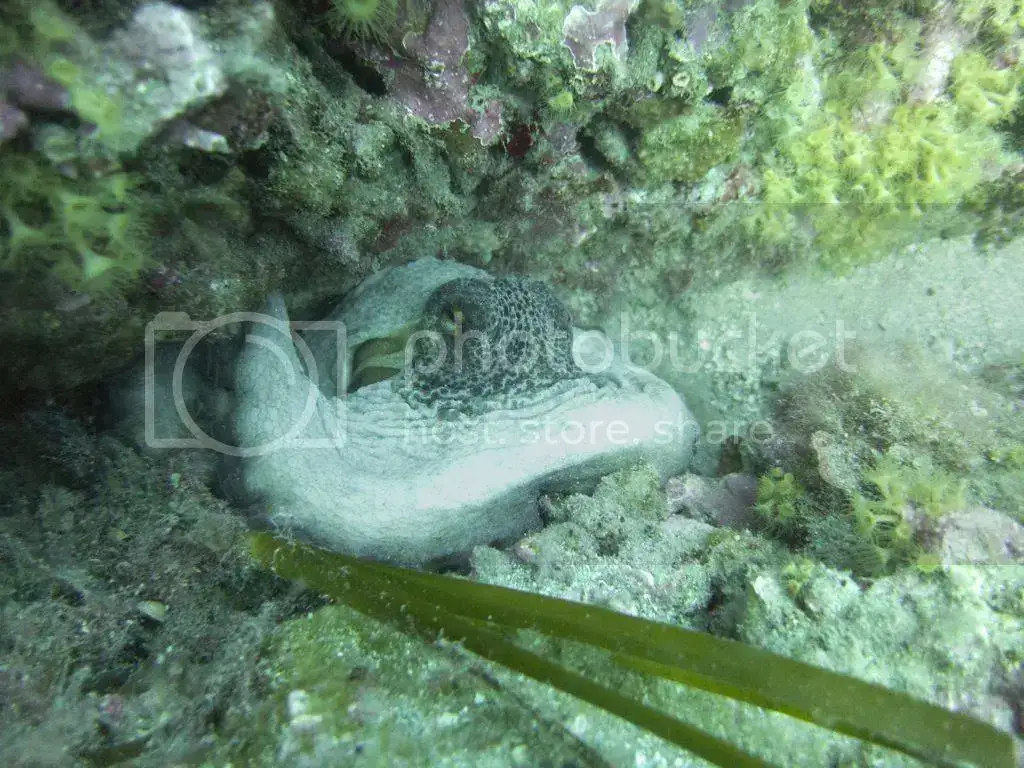 file_zpsa3e99104.webp
