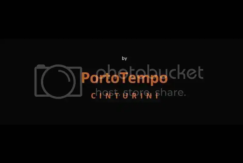 fin.webp
