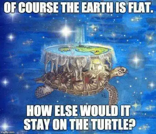 flat-earth-turtle.webp