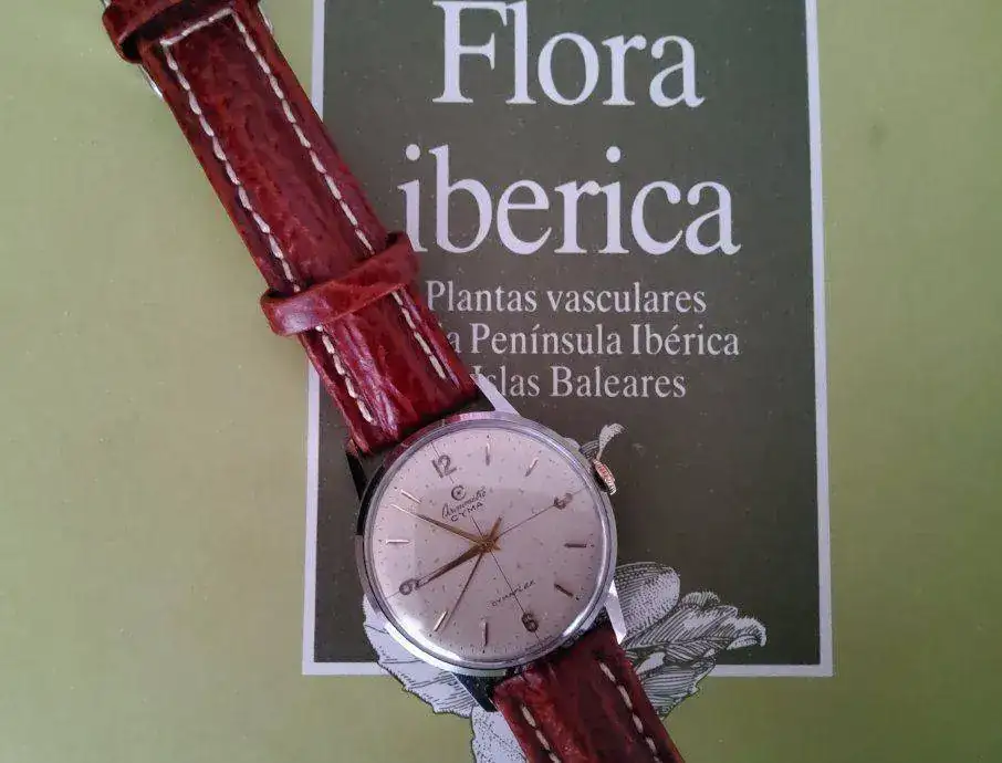 flora.webp