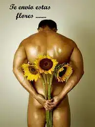 flores.webp