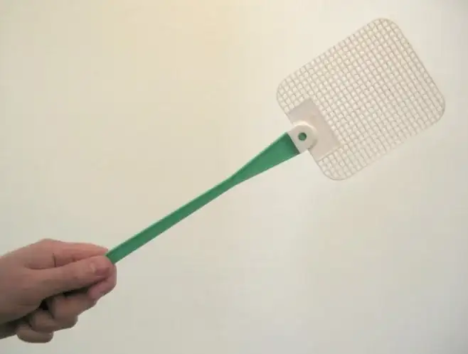 Fly-swatter.webp