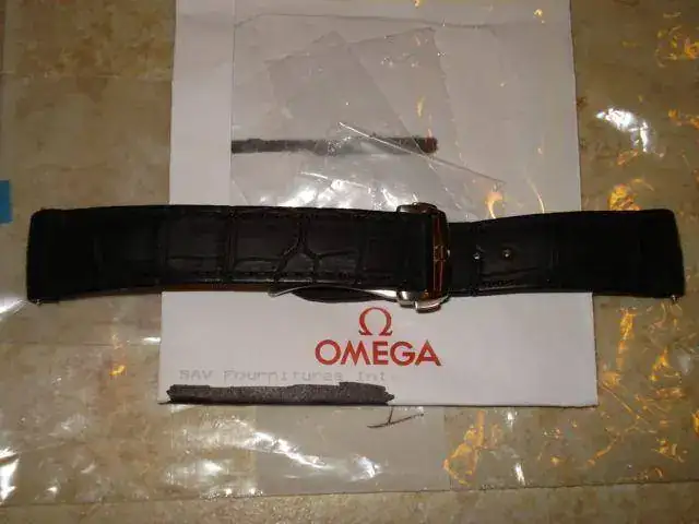 folding-buckle-aqua-terra-chronograph-gmt-dsc03893.webp