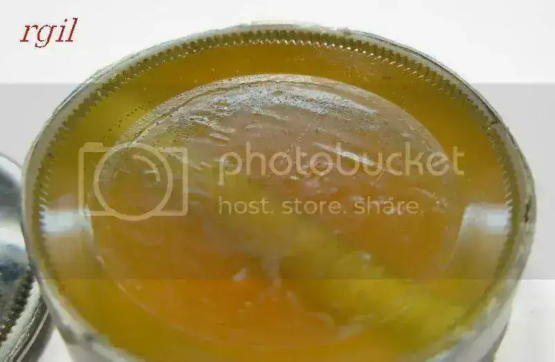 FondodelSeagull-20.webp