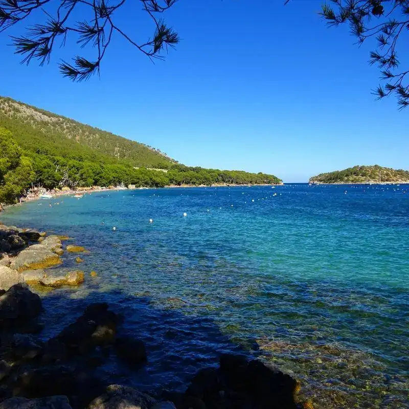 Formentor _ Mallorca.webp