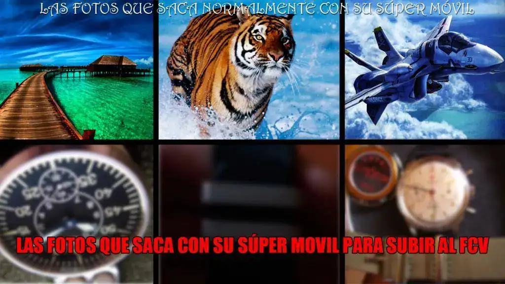 foro.webp