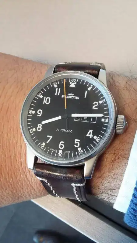 Fortis pilot 003.webp