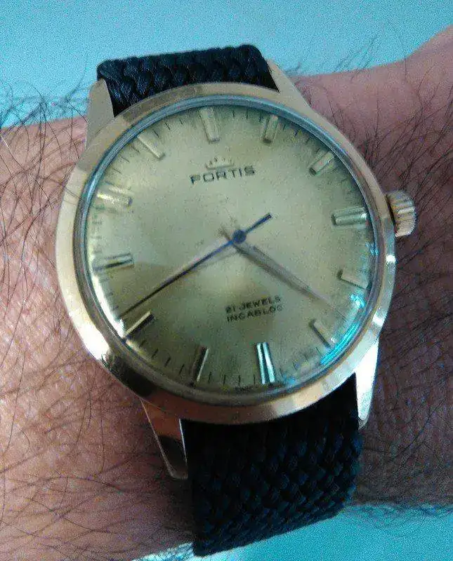 Fortis.webp