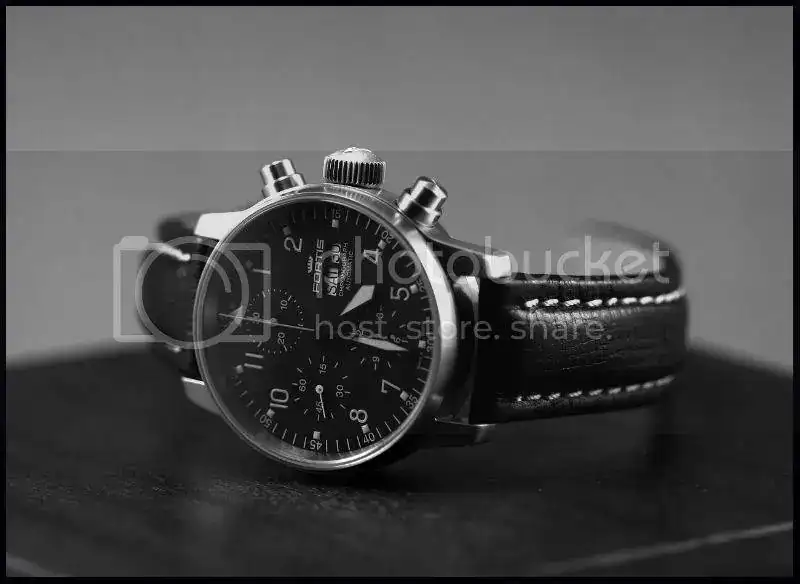 FORTIS06.webp
