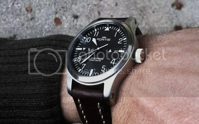 fortis1.webp