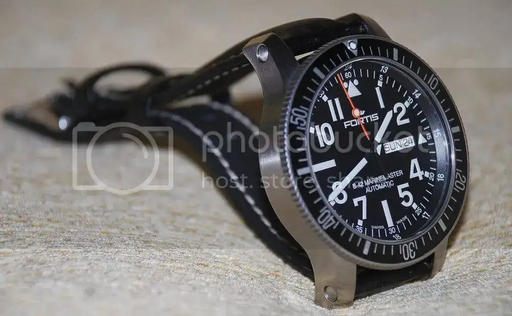 fortis2.webp